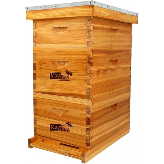 8-Frame Langstroth Beehive Dipped in 100% Beeswax, Bee Hive for Beginner, Honey Bee Hives Includes 2 Deep Bee Boxes, 1 Bee Hive Super with Beehive Frames and Foundation (3 Layer)