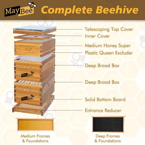 8-Frame Langstroth Beehive Dipped in 100% Beeswax, Bee Hive for Beginner, Honey Bee Hives Includes 2 Deep Bee Boxes, 1 Bee Hive Super with Beehive Frames and Foundation (3 Layer)