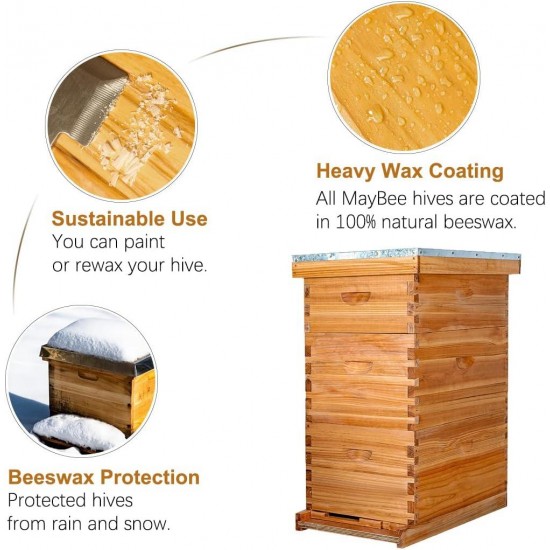 8-Frame Langstroth Beehive Dipped in 100% Beeswax, Bee Hive for Beginner, Honey Bee Hives Includes 2 Deep Bee Boxes, 1 Bee Hive Super with Beehive Frames and Foundation (3 Layer)