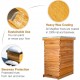 8-Frame Langstroth Beehive Dipped in 100% Beeswax, Bee Hive for Beginner, Honey Bee Hives Includes 2 Deep Bee Boxes, 1 Bee Hive Super with Beehive Frames and Foundation (3 Layer)