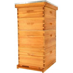 Bee Hive Starter Kit, 10 Frame Bee Hives,Hive Include 2 Deep Bee Box 2 Medium Beehive Box with Bee Frames and Wax Foundation,Unassembled Beehive Starter Kit