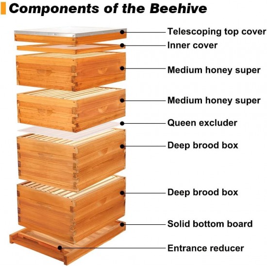 Bee Hive Starter Kit, 10 Frame Bee Hives,Hive Include 2 Deep Bee Box 2 Medium Beehive Box with Bee Frames and Wax Foundation,Unassembled Beehive Starter Kit