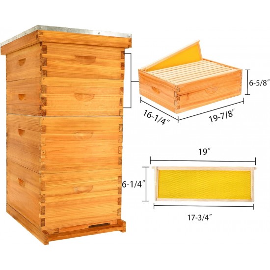 Bee Hive Starter Kit, 10 Frame Bee Hives,Hive Include 2 Deep Bee Box 2 Medium Beehive Box with Bee Frames and Wax Foundation,Unassembled Beehive Starter Kit