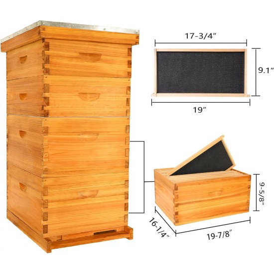 Bee Hive Starter Kit, 10 Frame Bee Hives,Hive Include 2 Deep Bee Box 2 Medium Beehive Box with Bee Frames and Wax Foundation,Unassembled Beehive Starter Kit