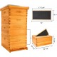 Bee Hive Starter Kit, 10 Frame Bee Hives,Hive Include 2 Deep Bee Box 2 Medium Beehive Box with Bee Frames and Wax Foundation,Unassembled Beehive Starter Kit