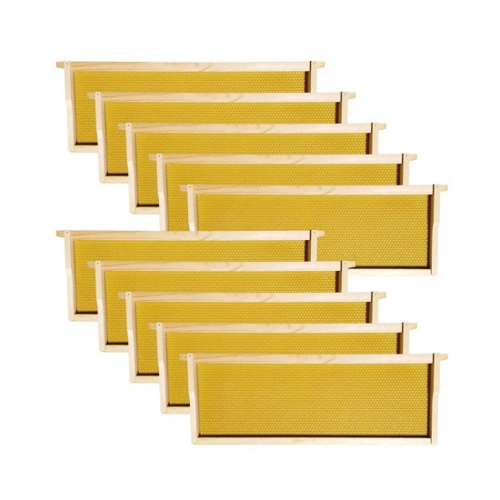 USA Made 10 Frame Langstroth Beehive - (2) Deeps & (1) Medium (Quality Boards Zero Knots)