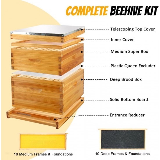 10 Frame Bee Hive Starter Kit, Complete Beehive Kit for Beekeepers Dipped in 100% Beeswax Includes 1 Deep Brood Box & 1 Medium Super Bee Box with Beehive Frames and Waxed Foundation Sheet