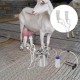 5L Electric Milking Machine Portable Goat Sheep Ewes Milker Cow Milking Kit Impulse Milking Machine for Home Small-scalefarm(Sheep)