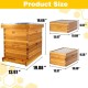 8 Frame Bee Hive Complete Beehive Kit Beeswax Coated Include Frames and Foundation Sheet for for All Beekeeping Levels (1 Deep & 1 Medium Bee Boxes)