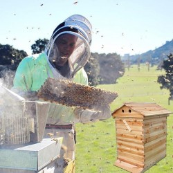 Hive Flows Beehive Kit,Wooden Beekeeping House Beehive Boxes with 7 PCS Auto Bee Hive Frame for Beginning Professional Beekeepers