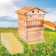 Hive Beehive Kit, Bee Hive House kit, Hive Starter Kit Beehive Boxes with 7 Peice Comb Honey Frames for Beginning and Professional Beekeepers