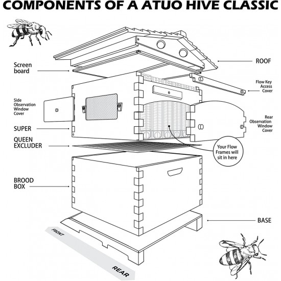 Flows Hive Beehive Complete Kit,Bee Hives Boxes Starter Kit - Wooden Beekeeping House Beehive Boxes,Food Grade BPA  (Beehive Frame+Wooden Box)