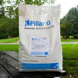 Pillar G Intrinsic Granular Fungicide (30 LB)