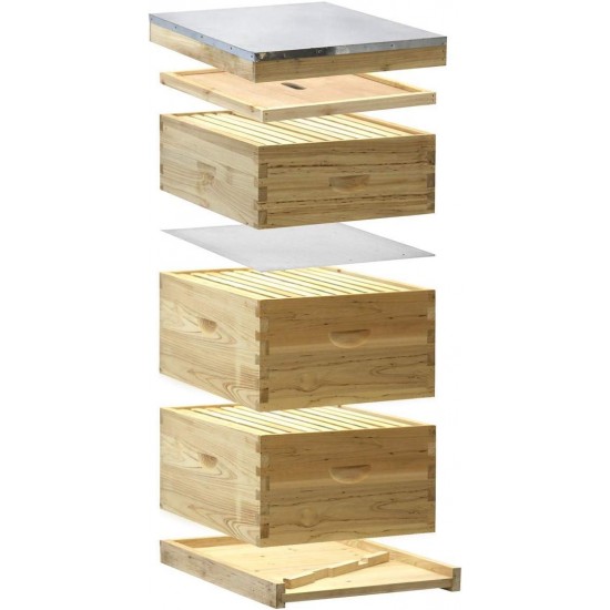 NuBee Starter 10 Frame Beehive Kit - Includes 2 Hive Bodies, 1 Super Box, Pine Frames, Wax Coated Foundations and More