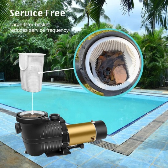 2.0HP Pool Pump, Energy Saving Two Speed In/Above Ground Pool Pump, Self-priming Swimming Pool Water Circulation Pumps with 1.25 & 1.5 NPT Unions (2.0HP Two Speed 115V)