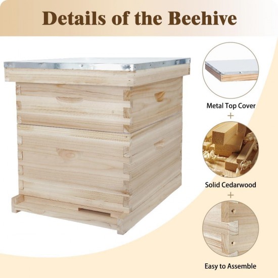 8 Frame Langstroth Bee Hive, Beehive Starter Kit for Beginners with Beehive Frames and Waxed Foundation (1 Deep Box & 1 Medium Box)