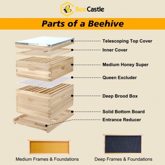 8 Frame Langstroth Bee Hive, Beehive Starter Kit for Beginners with Beehive Frames and Waxed Foundation (1 Deep Box & 1 Medium Box)