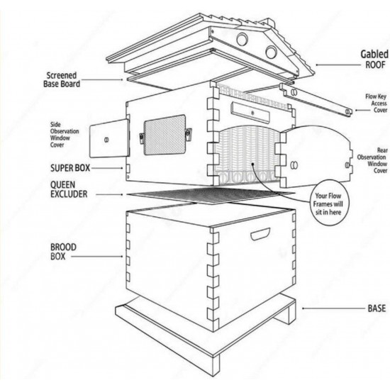 Bee Hives Boxes and Frames Starter Kit 7Pcs Automatic Wooden Beehive House, Auto Honey Hive Beehive Frames, Beekeeping Wooden House Beehive Boxes for Beekeepers