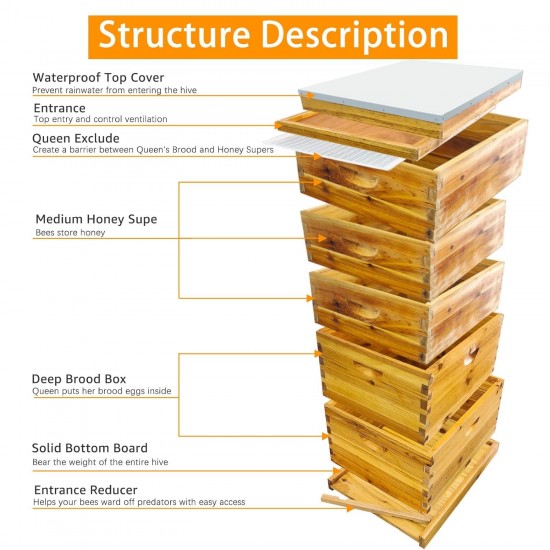 5 Layer Complete Bee Hives and Supplies Starter Kit Beehive Dipped in 100% Beeswax Include Queen Excluder & Cover。(5-Layer，no Frame)