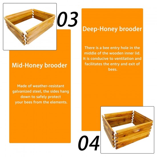 5 Layer Complete Bee Hives and Supplies Starter Kit Beehive Dipped in 100% Beeswax Include Queen Excluder & Cover。(5-Layer，no Frame)