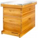 8 Frame Bee Hive Starter Kit, Complete Beehive Kit for Beekeepers Dipped in 100% Beeswax Includes 1 Deep Brood Box & 1 Medium Super Bee Box with Beehive Frames and Waxed Foundation Sheet