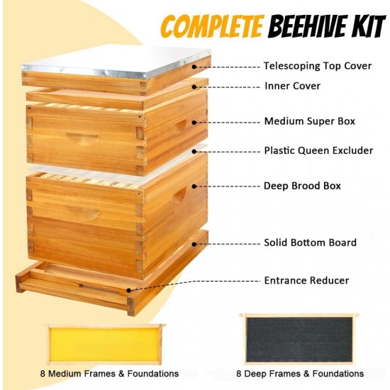 8 Frame Bee Hive Starter Kit, Complete Beehive Kit for Beekeepers Dipped in 100% Beeswax Includes 1 Deep Brood Box & 1 Medium Super Bee Box with Beehive Frames and Waxed Foundation Sheet