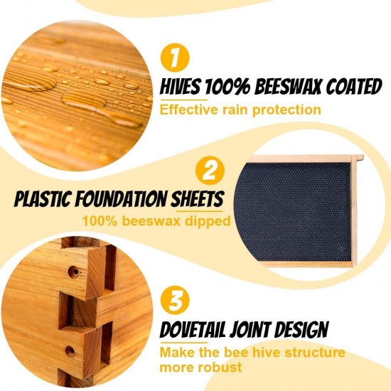 10 Frame Bee Hive Starter Kit, Complete Beehive Kit for Beekeepers Dipped in 100% Beeswax Includes 1 Deep Brood Box & 1 Medium Super Bee Box with Beehive Frames and Waxed Foundation Sheet