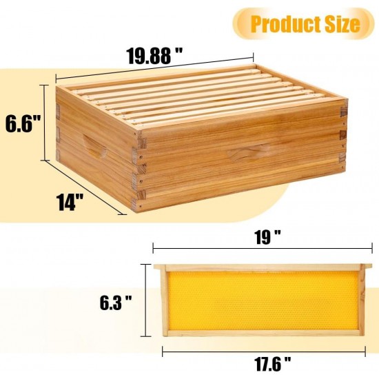 8 Frame Bee Hive Starter Kit, Complete Beehive Kit for Beekeepers Dipped in 100% Beeswax Includes 1 Deep Brood Box & 1 Medium Super Bee Box with Beehive Frames and Waxed Foundation Sheet