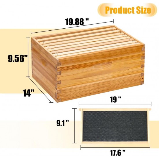 8 Frame Bee Hive Starter Kit, Complete Beehive Kit for Beekeepers Dipped in 100% Beeswax Includes 1 Deep Brood Box & 1 Medium Super Bee Box with Beehive Frames and Waxed Foundation Sheet