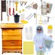 10 Frame BeeHives with Supplies Starter Kit, Bee Keeping Supplies-All Beginners Kit, Bee Hive Tool Set, Ventilated Bee Jacket (XXL)