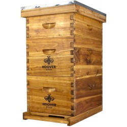 8 Frame Beehive Kit - Dipped in 100% Beeswax Includes Wooden Frames & Waxed Foundations (2 Deep Boxes, 1 Medium Box)