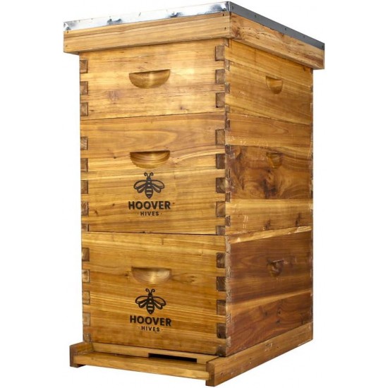 8 Frame Beehive Kit - Dipped in 100% Beeswax Includes Wooden Frames & Waxed Foundations (2 Deep Boxes, 1 Medium Box)