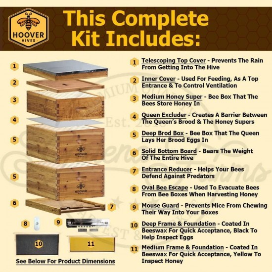 8 Frame Beehive Kit - Dipped in 100% Beeswax Includes Wooden Frames & Waxed Foundations (2 Deep Boxes, 1 Medium Box)