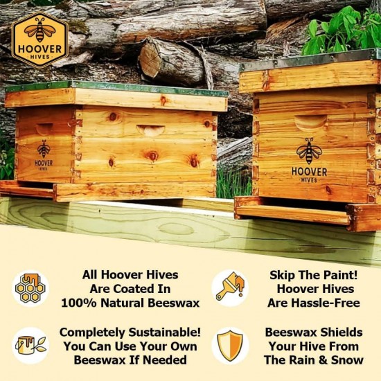 8 Frame Beehive Kit - Dipped in 100% Beeswax Includes Wooden Frames & Waxed Foundations (2 Deep Boxes, 1 Medium Box)