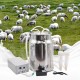 10L Goat Milking Machine Adjustable Pulsation Vacuum Electric Milker, Automatic Pulsating Vacuum Pump Livestock Milking Supplies with Stainless Bucket