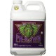 3800-16 pH-Down 10 Liter, Brown/A