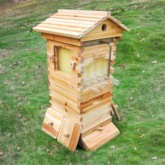 Mini Flows Hive Nuc, Mini Bee hive with 4pcs Flows Frames and 6pcs Beehive Foundations, with 1pcs Super Boxes 1pcs Brood Boxes, Bee Hives Starter Beekeeping Kits