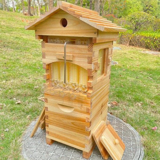 Mini Flows Hive Nuc, Mini Bee hive with 4pcs Flows Frames and 6pcs Beehive Foundations, with 1pcs Super Boxes 1pcs Brood Boxes, Bee Hives Starter Beekeeping Kits