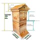 Mini Flows Hive Nuc, Mini Bee hive with 4pcs Flows Frames and 6pcs Beehive Foundations, with 1pcs Super Boxes 1pcs Brood Boxes, Bee Hives Starter Beekeeping Kits