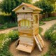 Mini Flows Hive Nuc, Mini Bee hive with 4pcs Flows Frames and 6pcs Beehive Foundations, with 1pcs Super Boxes 1pcs Brood Boxes, Bee Hives Starter Beekeeping Kits