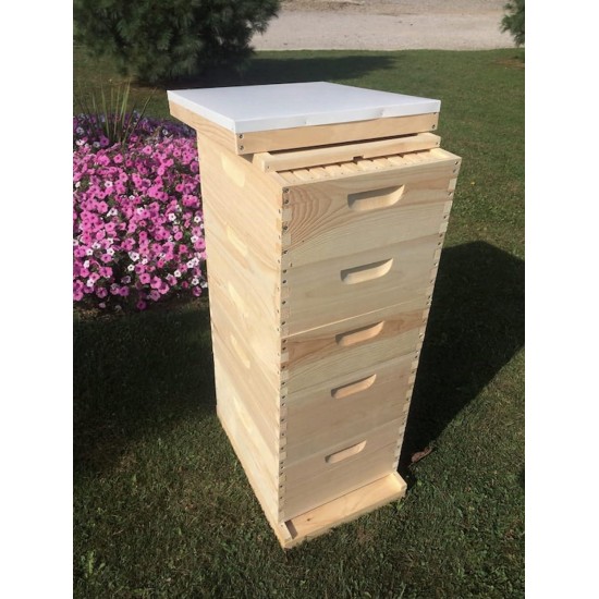 10 Frame 2 Deep 3 Medium with Wedge Style Frames Bee Hive Un-Assembled Beekeeping Langstroth Made in USA