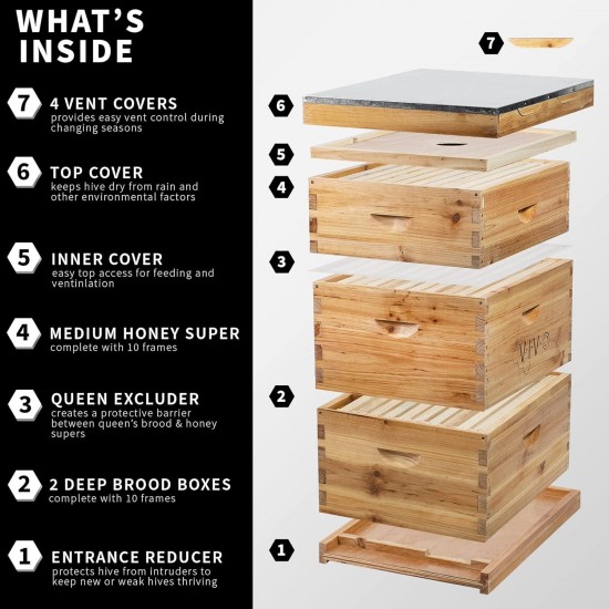 Complete Langstroth 10 Frame Bee Hive Beeswax Coated with Built-in Top Vents, 2 Deep Boxes and 1 Medium Box Beehive Kit, BEE-HV04C