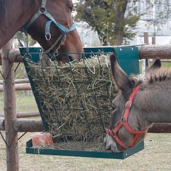 Solution4Patio Galvanized Steel Livestock Hanging 2 in 1 Hay & Grain Feeder, Heavy-Duty Large Capacity Feeder W/Adjustable Hooks for Stall, Corral, Hay Feeder for Goats, Sheep, Horse, Cyan Color