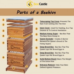 8 Frame Langstroth Bee Hive Coated with 100% Beeswax Includes Beehive Frames and Waxed Foundations (2 Deep Boxes & 1 Medium Box)