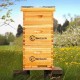 8 Frame Langstroth Bee Hive Coated with 100% Beeswax Includes Beehive Frames and Waxed Foundations (2 Deep Boxes & 1 Medium Box)