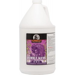 Purple Maxx - Gallon