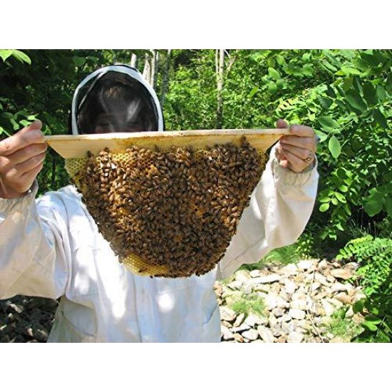 Top Bar Hive Beekeeping kit