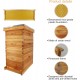 10-Frame Bee Hive Complete Beehive Kit Beeswax Coated Beehive Include Frames and Foundation Sheets for All Beekeeping Levels (2 Deep & 1 Medium Bee Boxes)