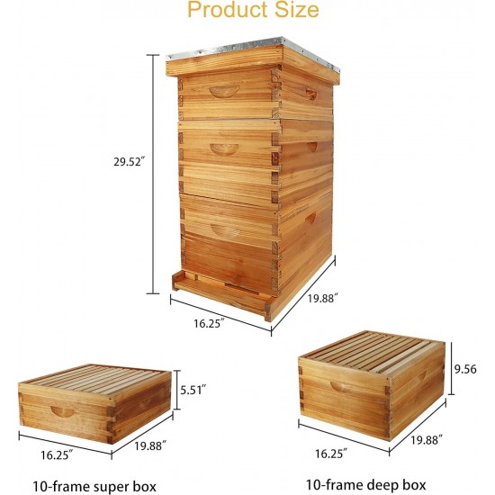 10-Frame Bee Hive Complete Beehive Kit Beeswax Coated Beehive Include Frames and Foundation Sheets for All Beekeeping Levels (2 Deep & 1 Medium Bee Boxes)