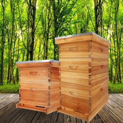 10-Frame Bee Hive Complete Beehive Kit Beeswax Coated Beehive Include Frames and Foundation Sheets for All Beekeeping Levels (2 Deep & 1 Medium Bee Boxes)